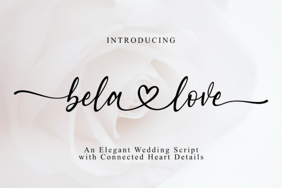 Bela Love: The Heart-Infused Script for Authentic Connection