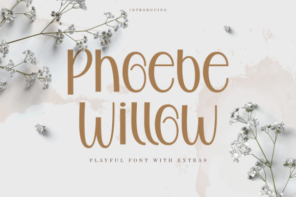 Phoebe Willow: The Hand-Lettered Script for Authentic Designs
